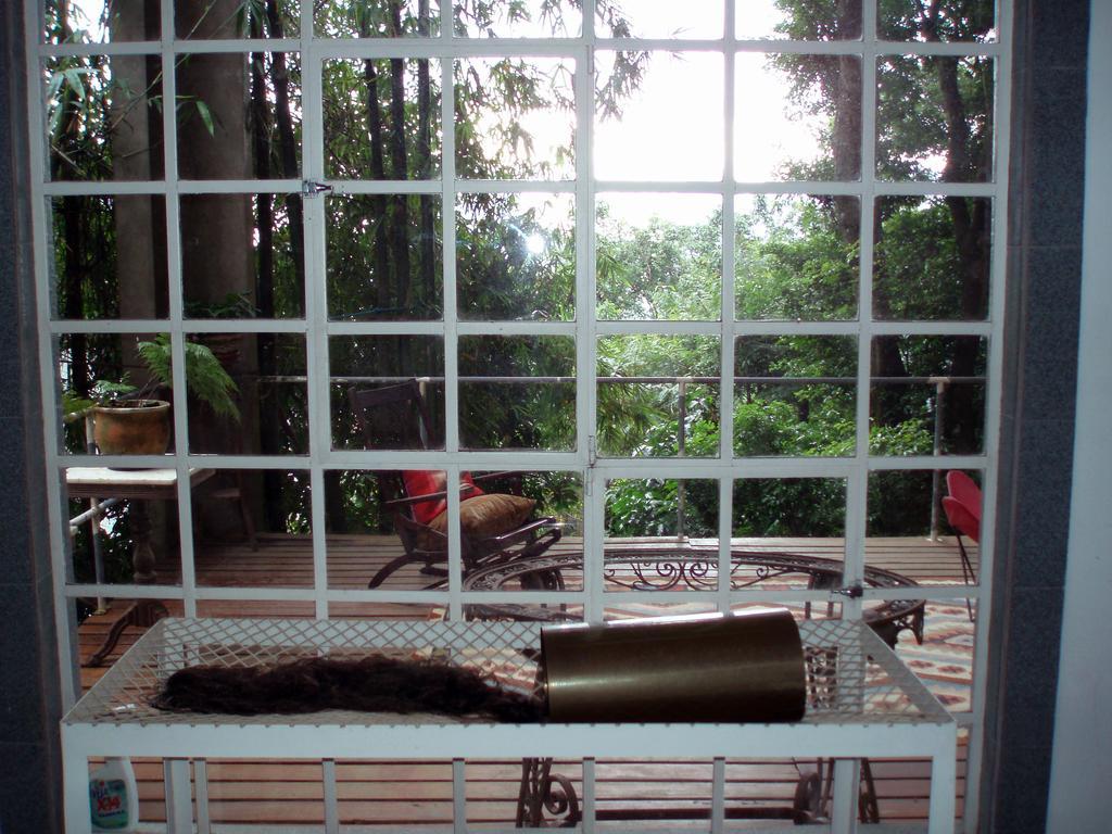 B&B Vitoria Regia Rio de Janeiro Zimmer foto